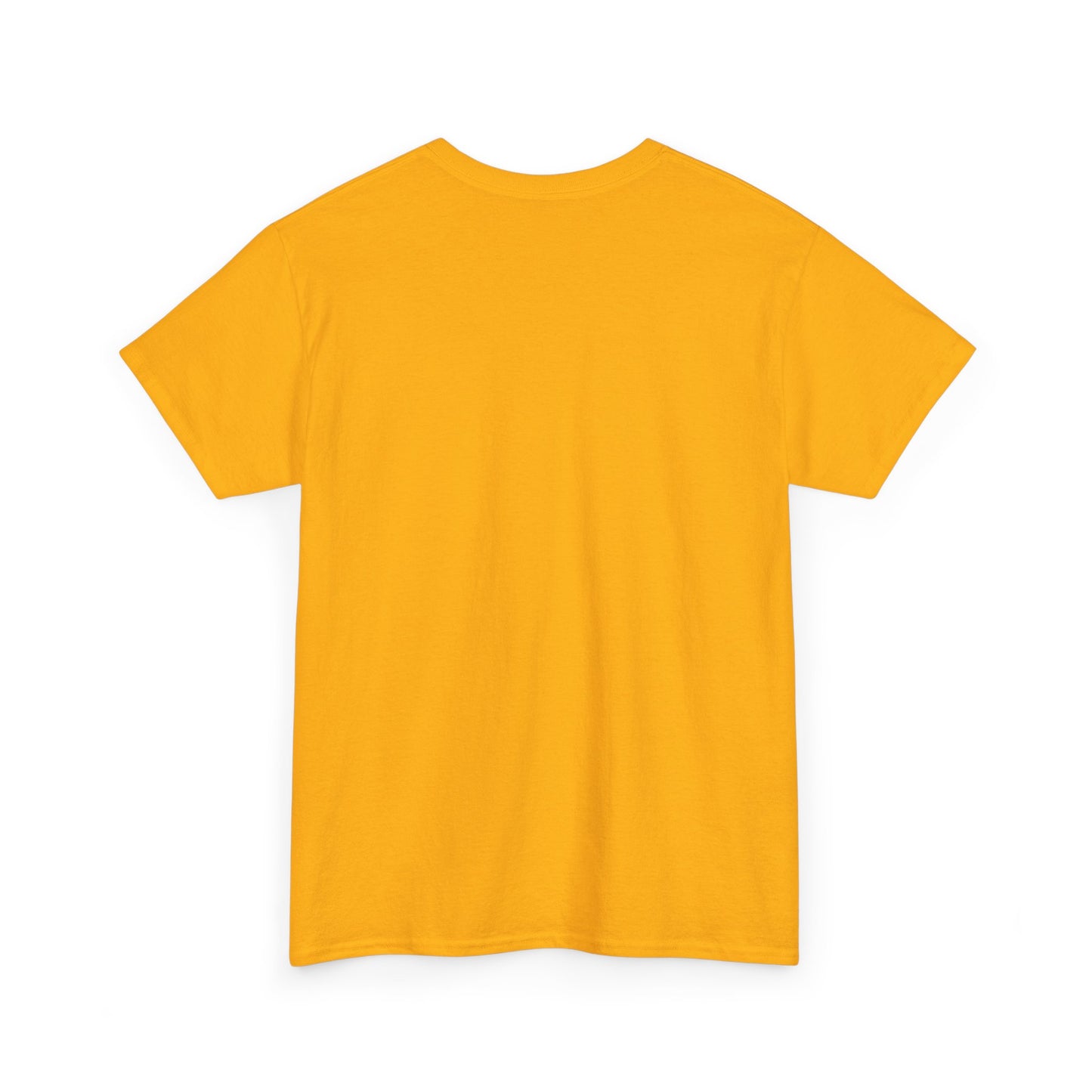 Unisex Heavy Cotton Tee - Ace and Aro fun tee "donut need sex or romance" Casual T-Shirt